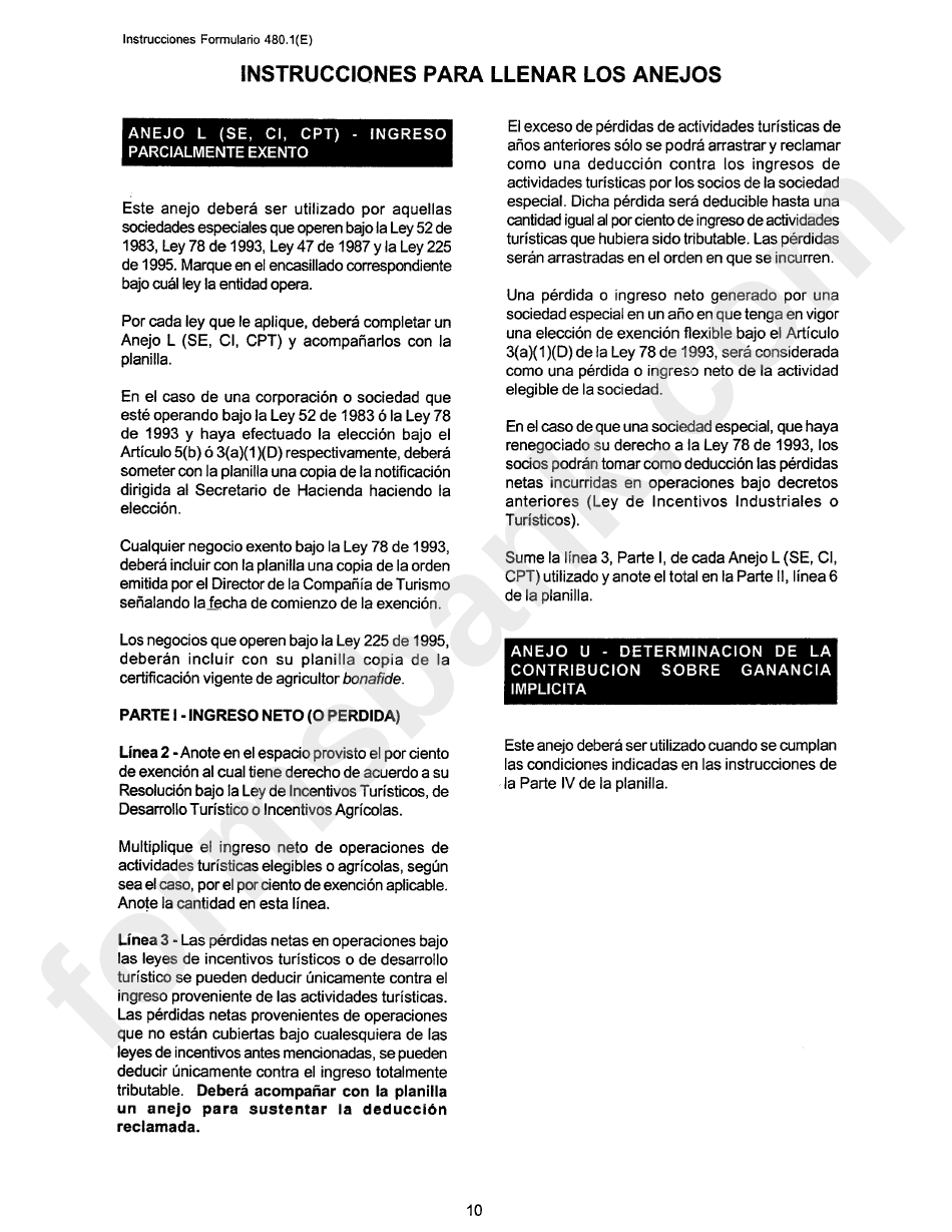 Instrucciones Formulario 480.1(E) - Para Llenar Los Anejos