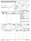 Form 53 - Report Of Currently Not Collectible Taxes - Internal Revenue Services