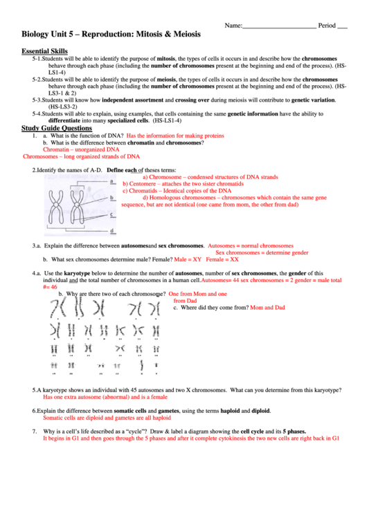Biology Unit 5 - Reproduction: Mitosis And Meiosis Printable pdf