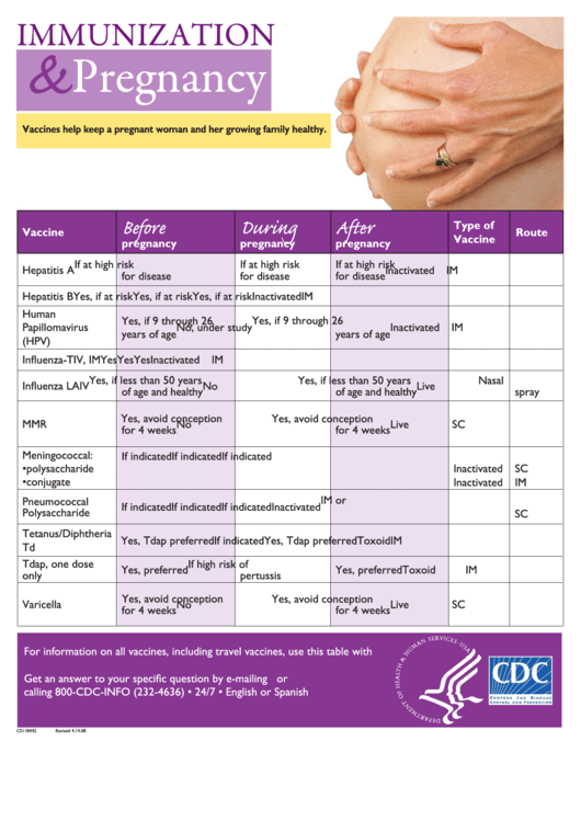 Immunization & Pregnancy Chart Printable pdf