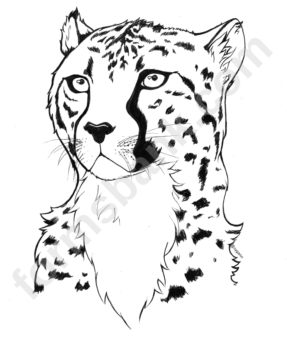 Cheetah Coloring Sheet