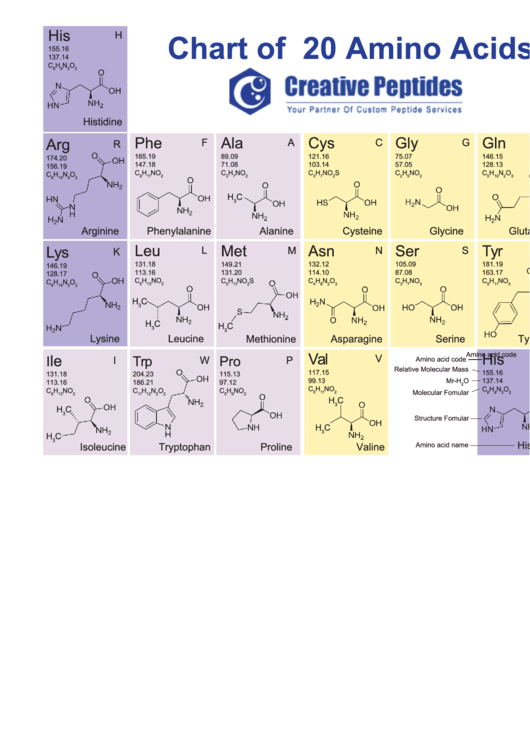 amino-acid-chart-printable-printable-word-searches