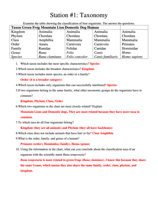 Classification And Virus Review Stations Sheet With Answers Printable pdf