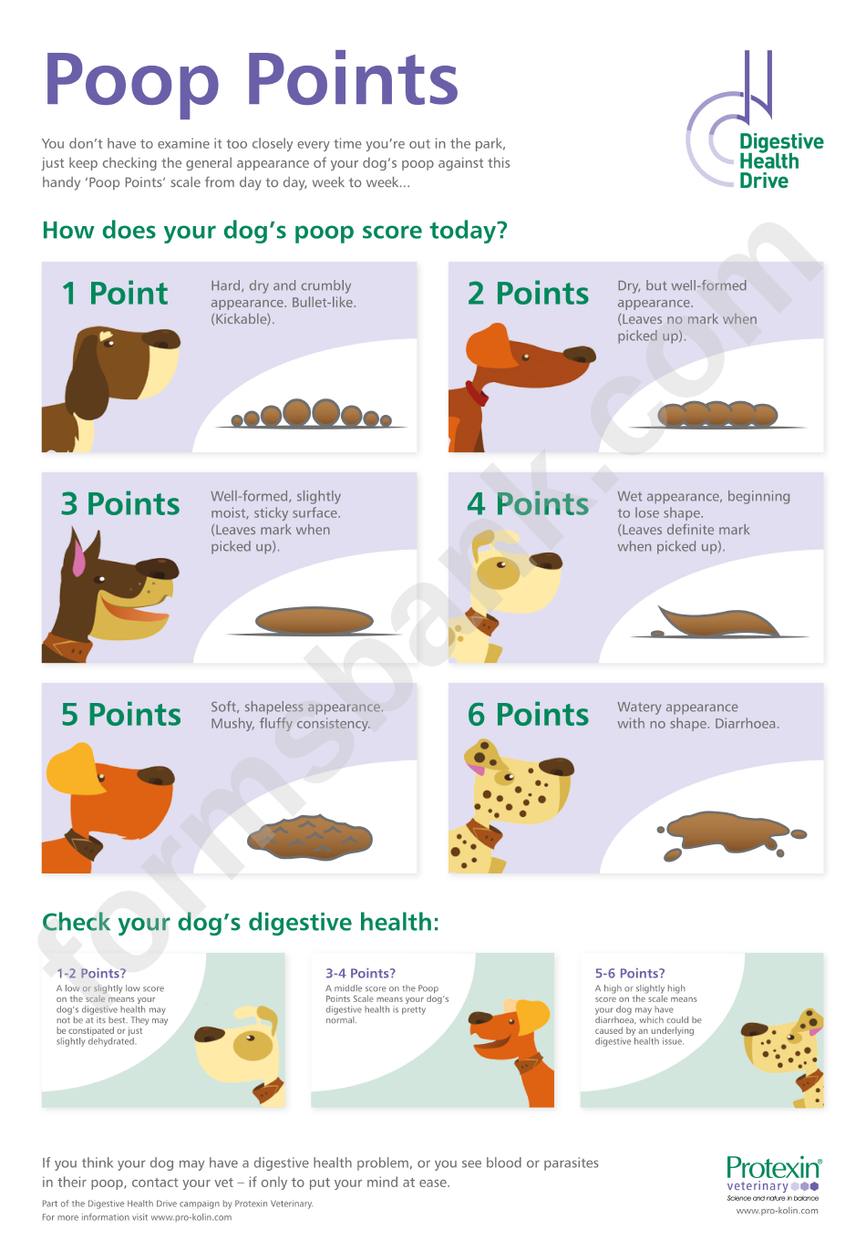 Dog Poop Chart