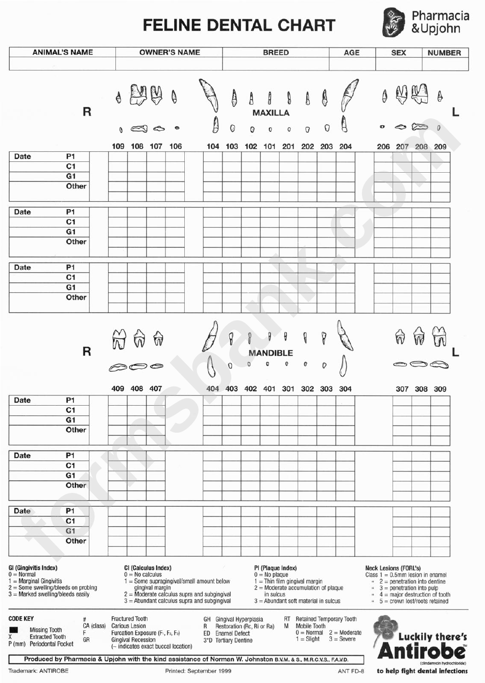 Feline Dental Chart printable pdf download