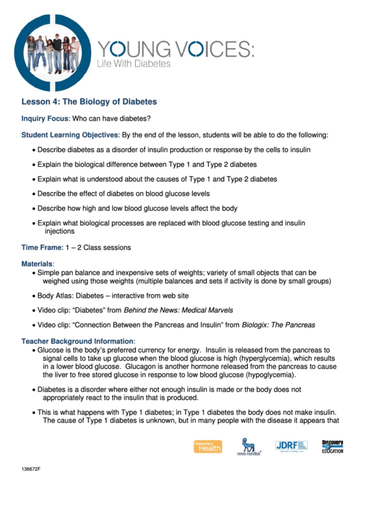 Young Voices The Biology Of Diabetes Printable pdf