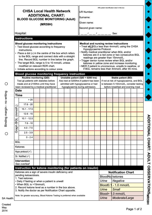 Chsa Local Health Network Additional Chart: Blood Glucose Monitoring (adult)