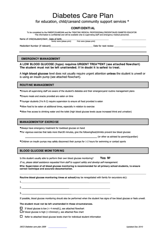 Diabetes Care Plan Template Printable Pdf Download