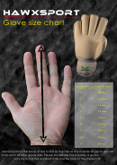 Hawxsport Glove Size Chart