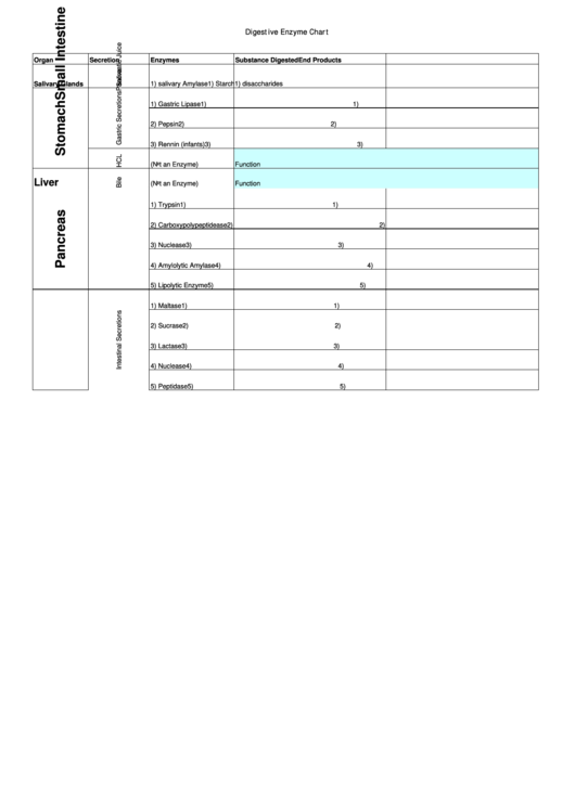 Digestive Enzyme Chart Printable pdf