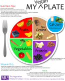 Vegan Food Chart