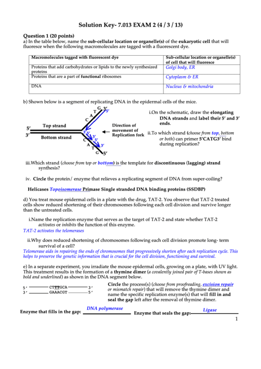 Solution Key - 7.013 Exam 2 (4/3/13) - With Answers