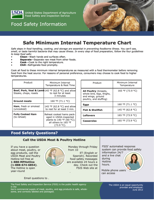 Safe Minimum Internal Temperature Chart Printable pdf