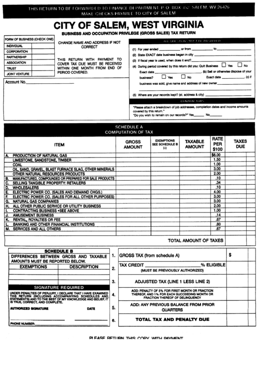 Business And Occupation Privilege (Gross Sales) Tax Return - City Of Salem Printable pdf