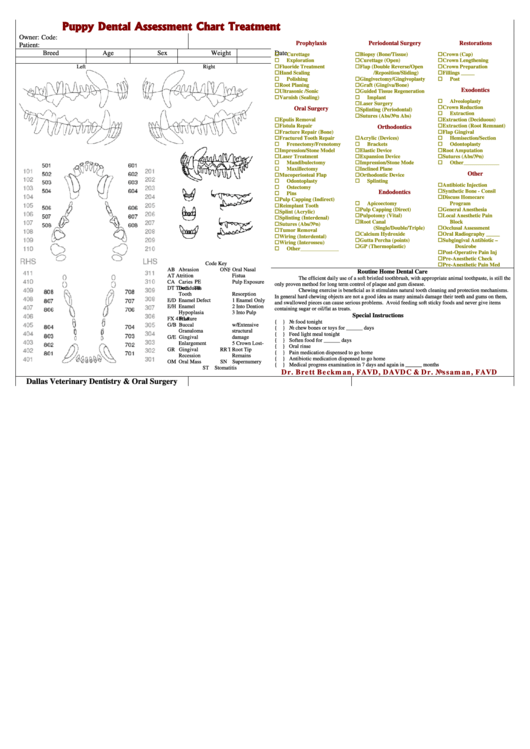 Puppy Dental Assessment Char Printable pdf