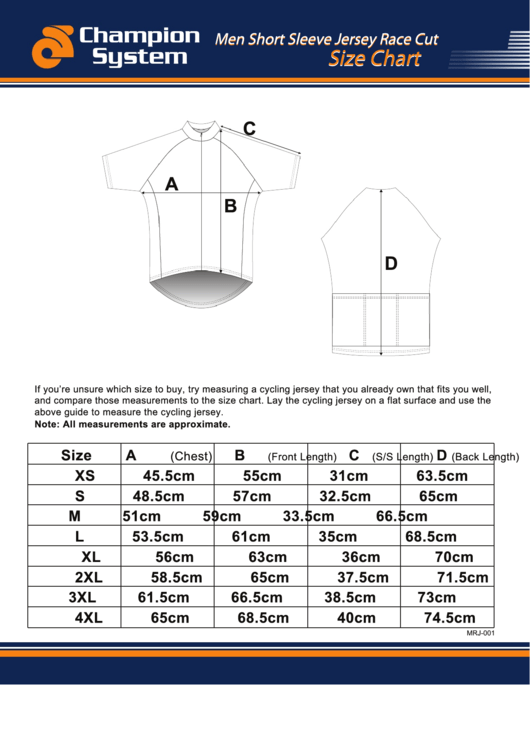 Champion System Shorts Size Chart Printable pdf