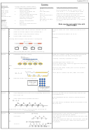 Division Worksheet Printable pdf
