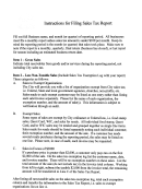 Instruction For Filing Sales Tax Report - Alaska