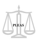 Plea Form - Texas Municipal Court