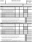 Schedule D (form 1065) - Capital Gains And Losses - 2017