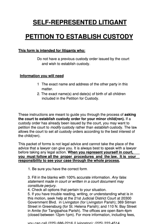 Petition To Establish Custody Form