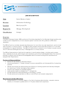 Job Description - Senior Business Analyst Printable pdf