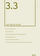 The Sales Plan