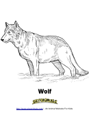Wolf Coloring Sheet
