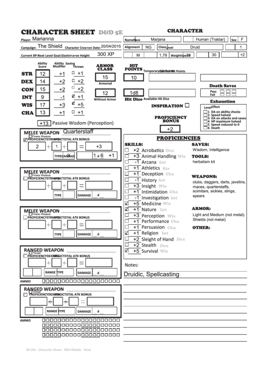 D&d 5e Character Sheet Printable pdf