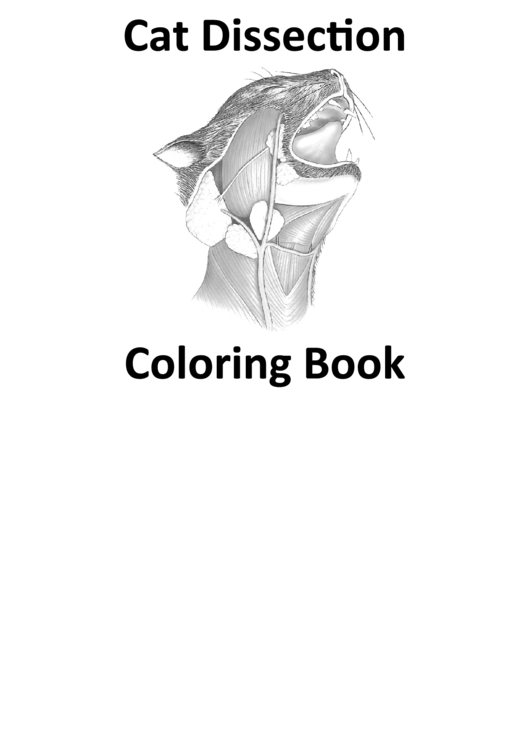 cat dissection coloring book printable pdf download