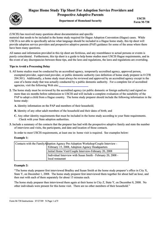 Instructions For Form M-738 - Hague Home Study Tip Sheet For Adoption Service Providers And Prospective Adoptive Parents Printable pdf