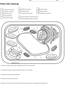 Plant Cell Coloring Sheet
