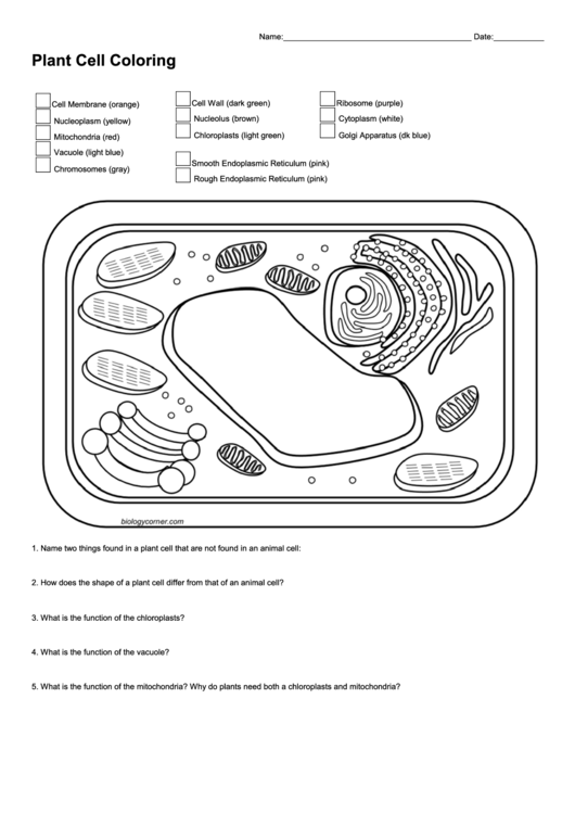 Top 6 Plant Cell Coloring Sheets free to download in PDF format