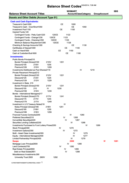 Balance Sheet Codes