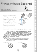 Photosynthesis Worksheets Printable pdf