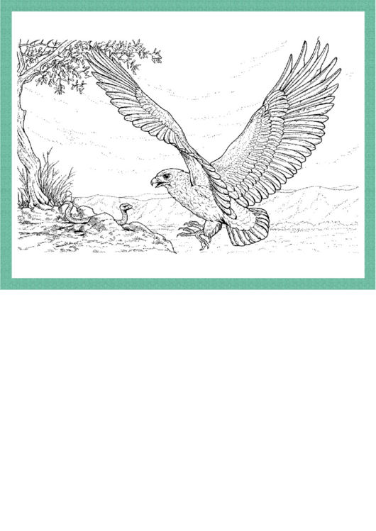 Eagle And Snake Coloring Sheet Printable pdf