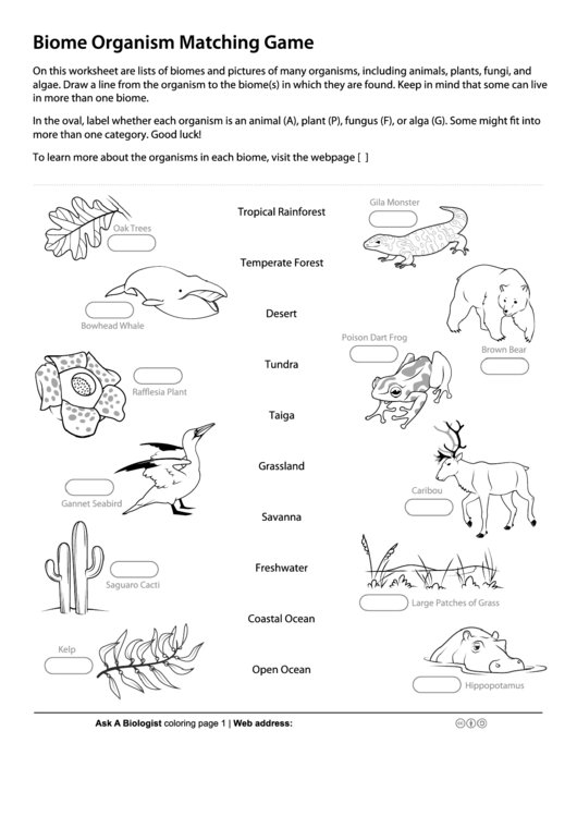 Biome Organism Matching Game - Biology Worksheet printable pdf download