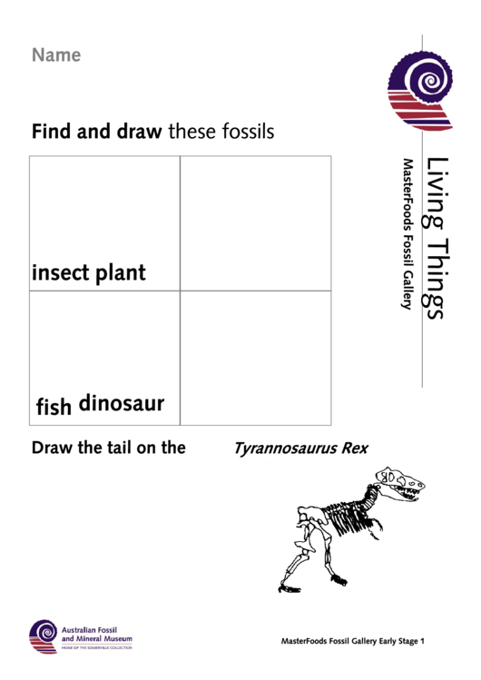 Fossil Gallery Activity Sheets