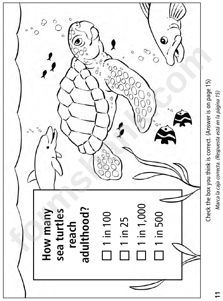 Saving Sea Turtles Coloring Sheets