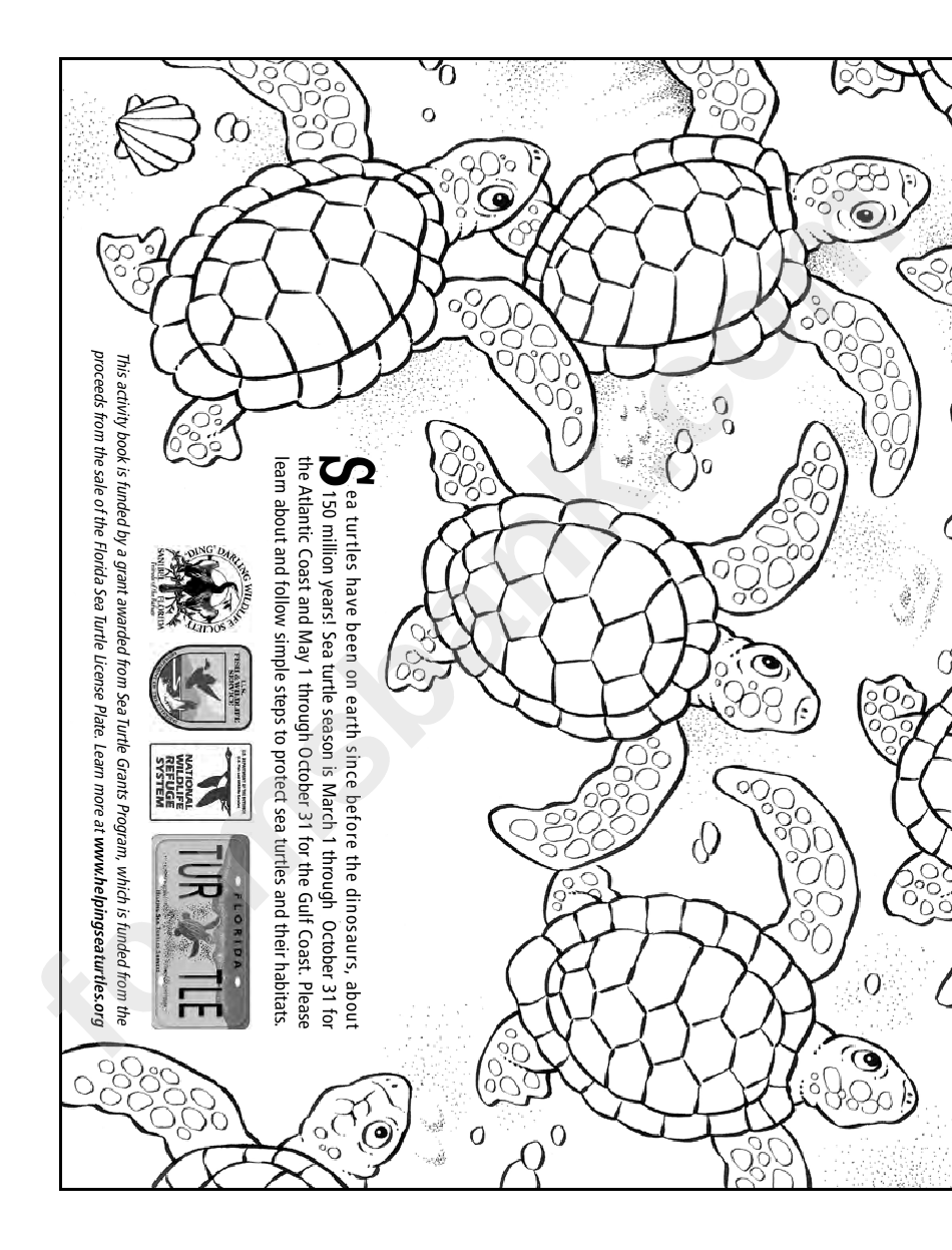 Saving Sea Turtles Coloring Sheets