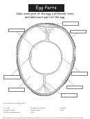 Egg Parts Coloring Sheet With Answers Printable pdf