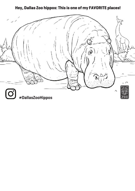 Hippo Coloring Sheet Printable pdf