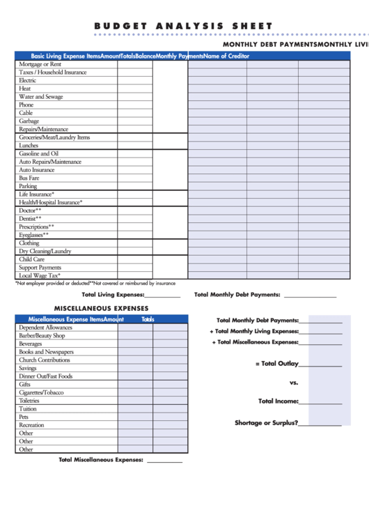 Budget Analysis Sheet Printable pdf