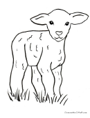 Lamb Coloring Sheet