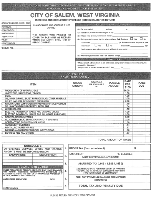 Business & Occupation Privilege(Gross Sales) Tax - City Of Salem, West Virginia Printable pdf