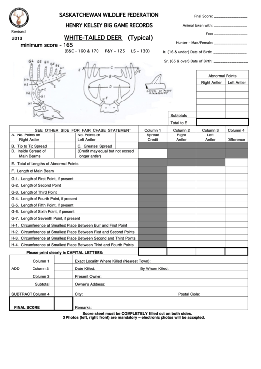 White-Tailed Deer Scoring Sheet Printable pdf