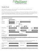 Fillable Chiropractic Intake Form Printable pdf
