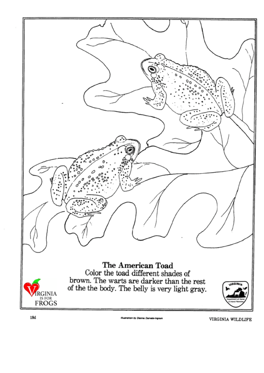 Frog Coloring Sheet Printable pdf