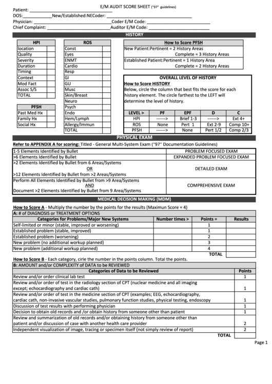 E/m Audit Score Sheet printable pdf download