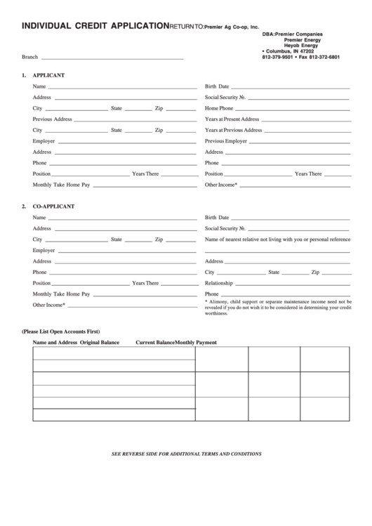 Fillable Individual Credit Application - State Of Indiana Printable pdf